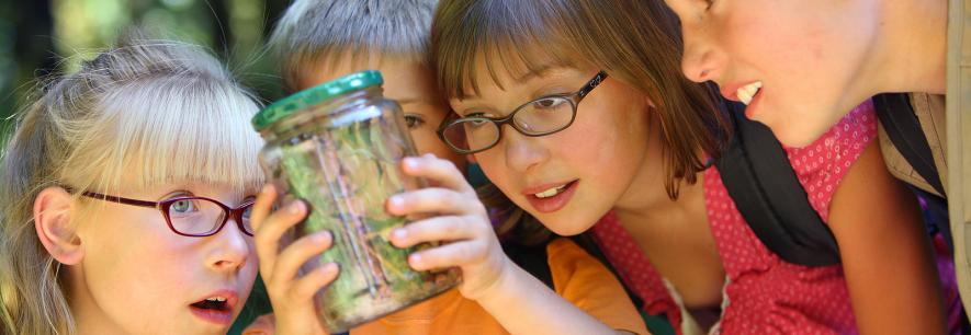 Bigstock Children Looking At Bug In Jar 14086556