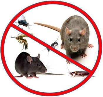 Roaches And Rodent Control