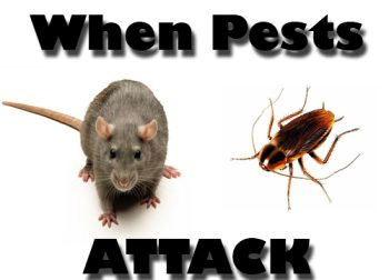 When Pests Attack