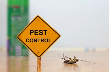 Pest Control Saves Summer In Dallas