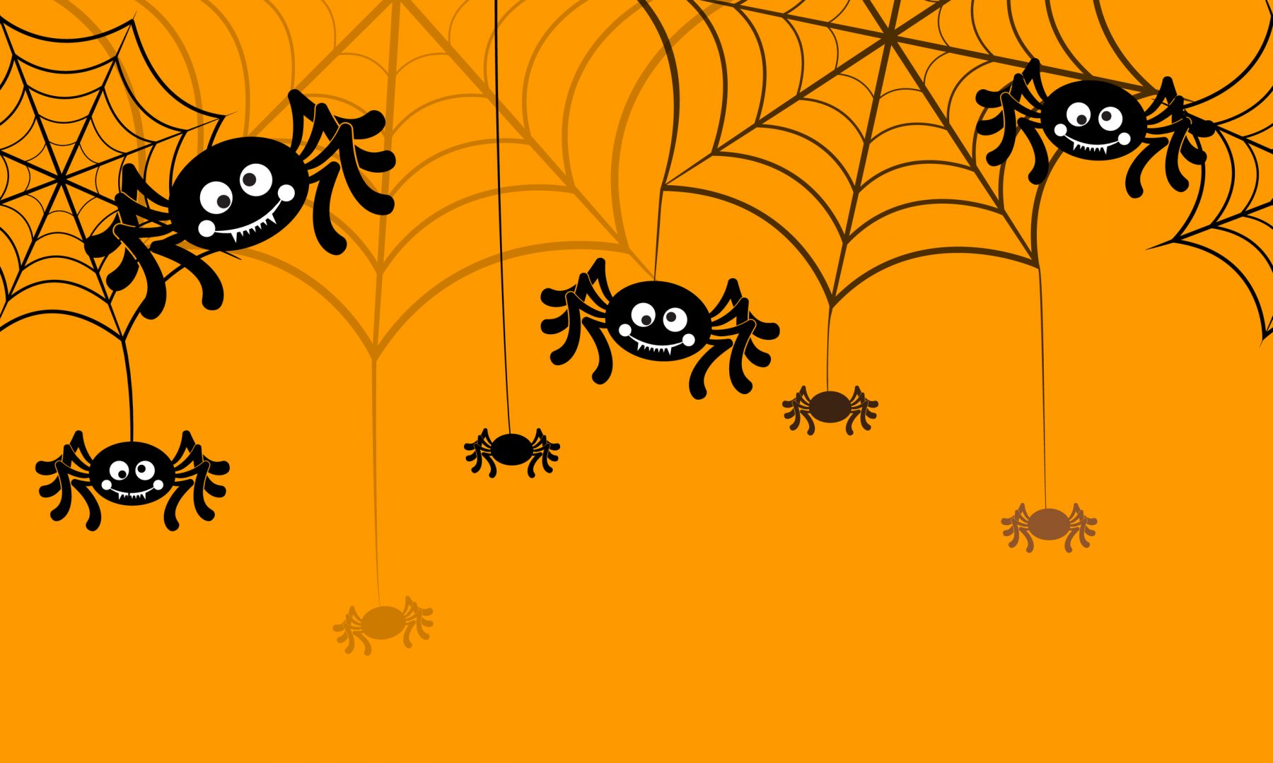 Hello Halloween, Hello Spiders - Buzzkill Pest Control