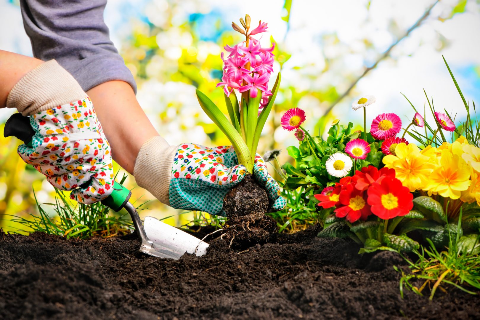 Pest Control For North Richland Hills Gardening