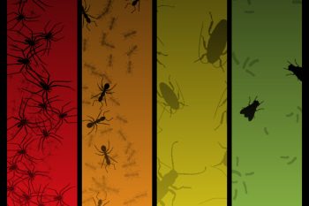 Four Creepy Banners Featuring Insects And Spiders