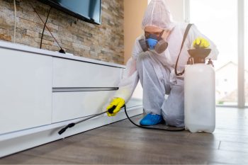 Exterminator Performing Pest Control Services In Dallas Fort Worth
