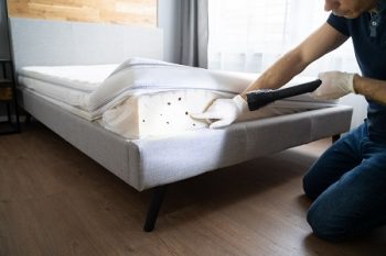 A1 Bed Bug Treatment Houston