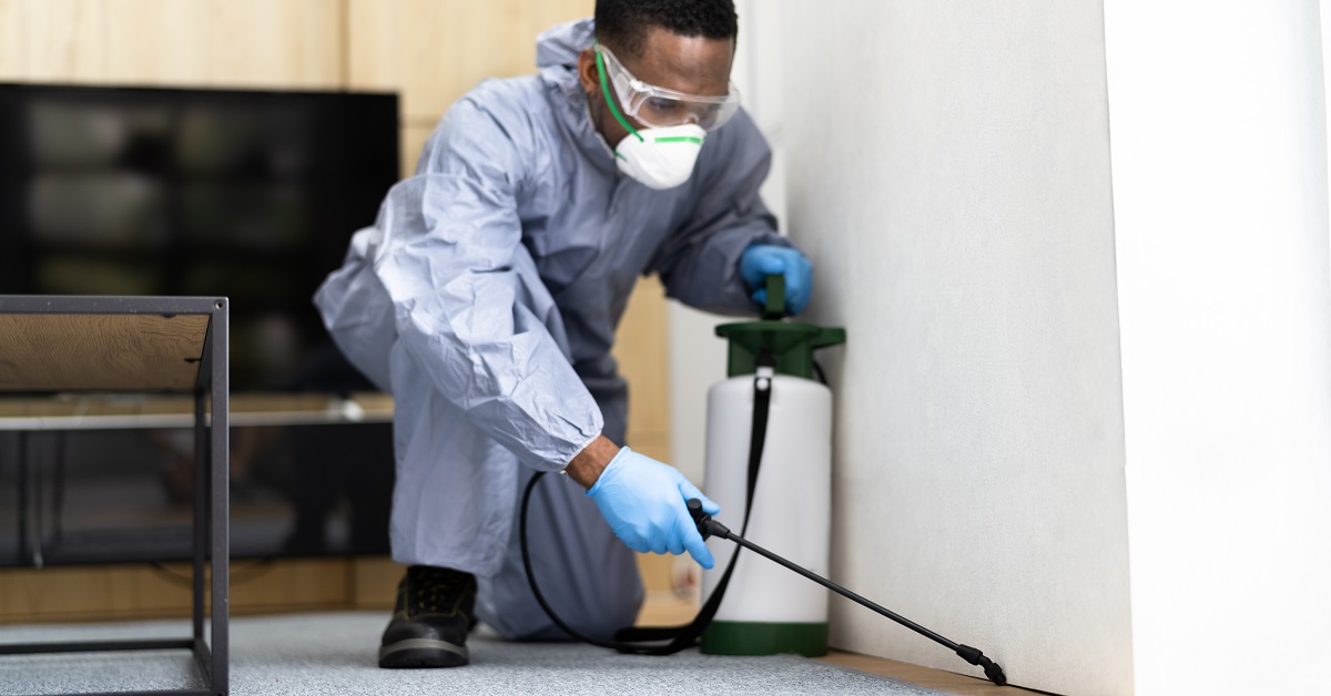 Pest Control Fort Worth TX Buzz Kill Pest Control