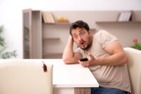 home pest control southlake