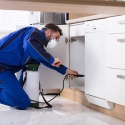 exterminator Exterminator Frisco TX