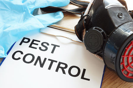 Pest Control Services North Richland Hills TX