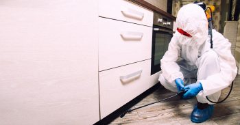 exterminator frisco tx