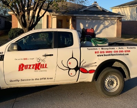 Pest Control Experts Fort Worth TX
