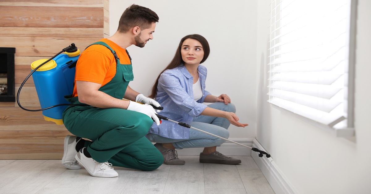 Exterminator Dallas TX | Buzz Kill Pest Control