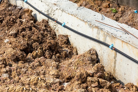 Termite Control Near Me Fort Worth TX