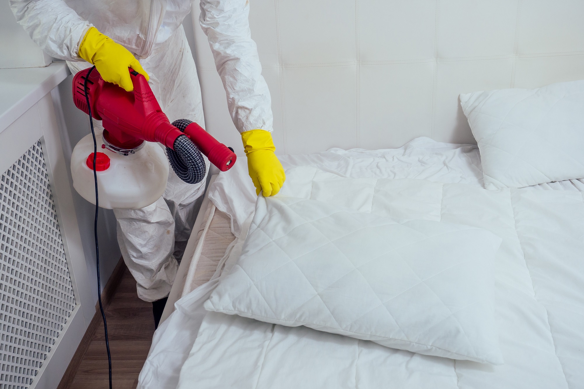 Chicago Bed Bug Exterminator