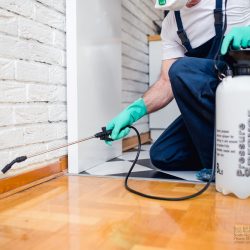 Pest Control Fort Worth Tx