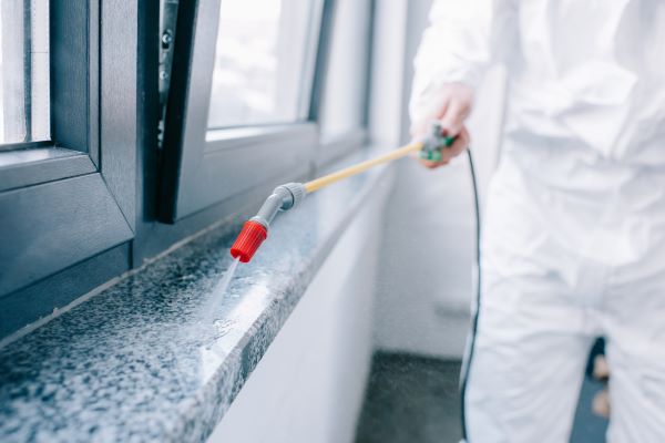 Pest Control In Fort Worth Tx