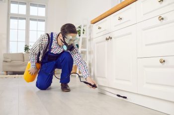 Pest Control Fort Worth