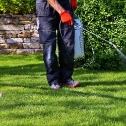 Pest Control Fort Worth TX