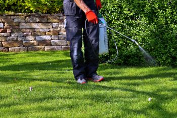 Pest Control Fort Worth TX