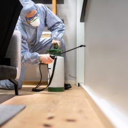 Pest Control Fort Worth Texas
