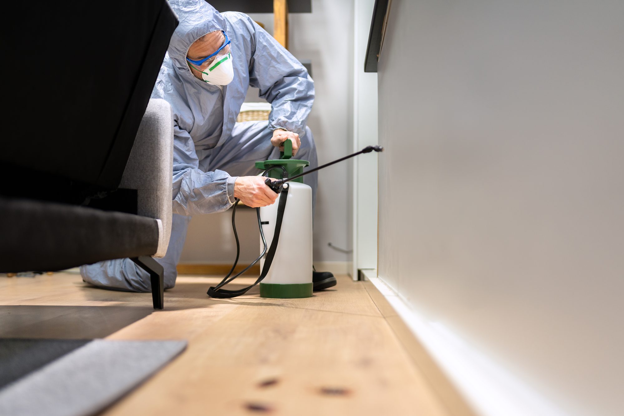 Pest Control Fort Worth Texas
