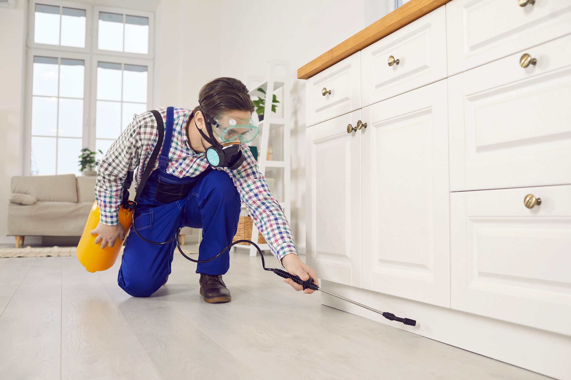 Pest Control Fort Worth