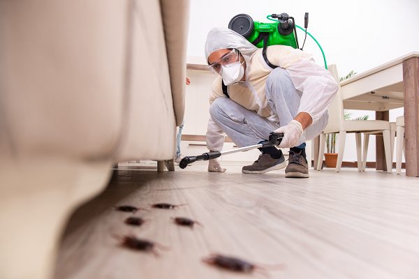 Pest Control near me Fort Worth TX