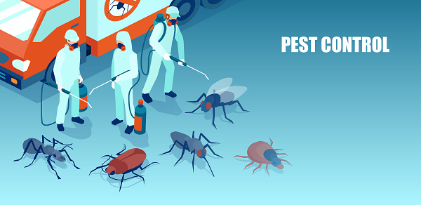 Pest Control near me Fort Worth