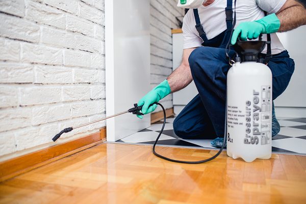 Pest Control near me in Fort Worth TX