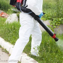 mosquito control Fort Worth