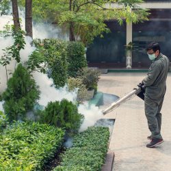 mosquito control Fort Worth TX