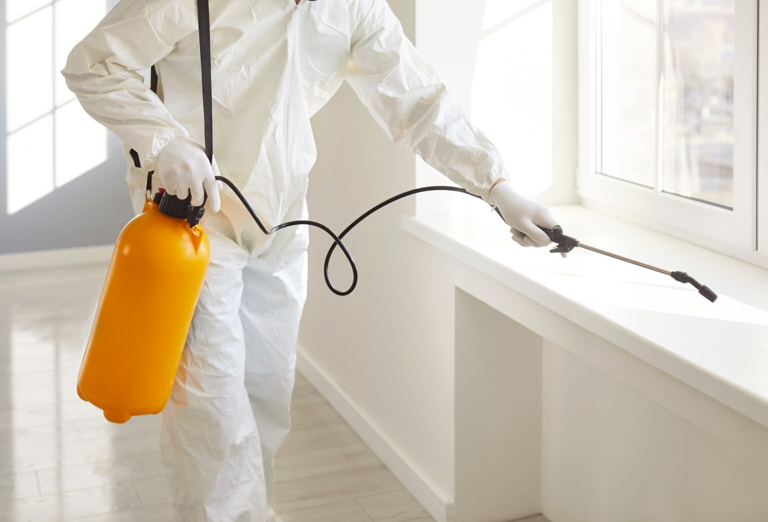 How Does Professional Pest Control Provide Longer-Lasting Protection ...