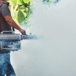 Pest Control Fort Worth TX