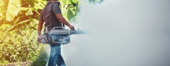 Pest Control Fort Worth TX