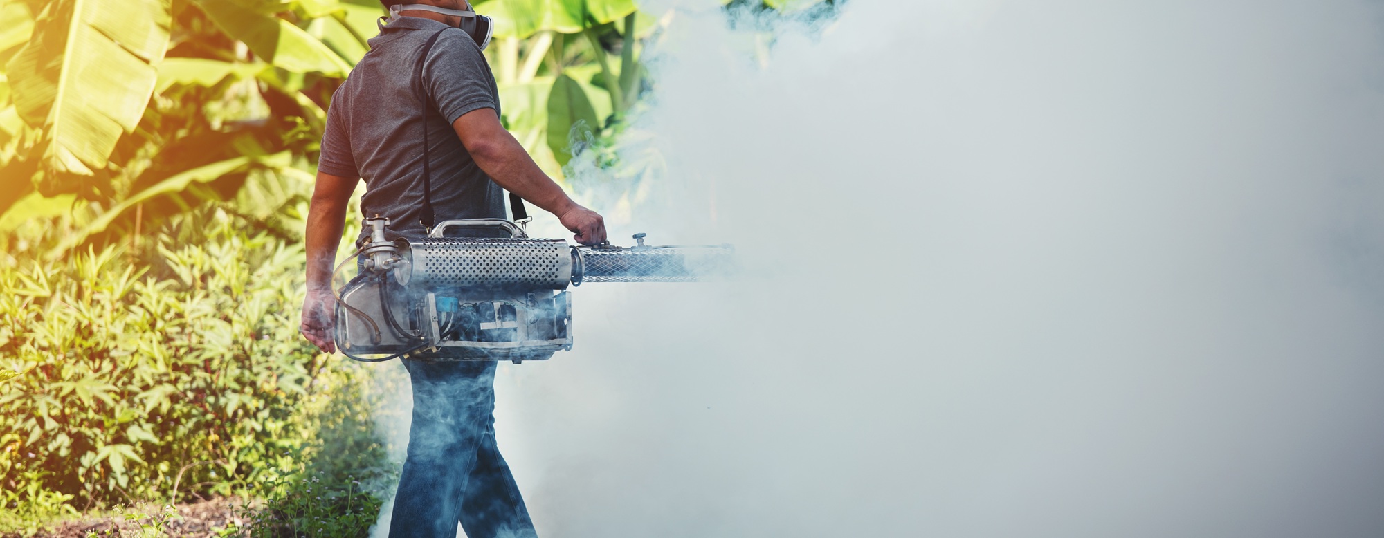 Pest Control Fort Worth TX Pest Control Fort Worth TX