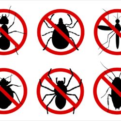 Pest Control Fort Worth TX