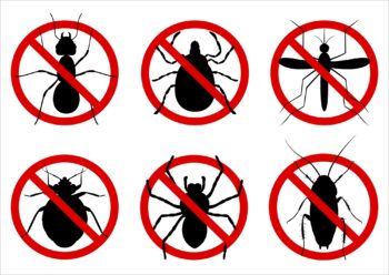 Pest Control Fort Worth TX