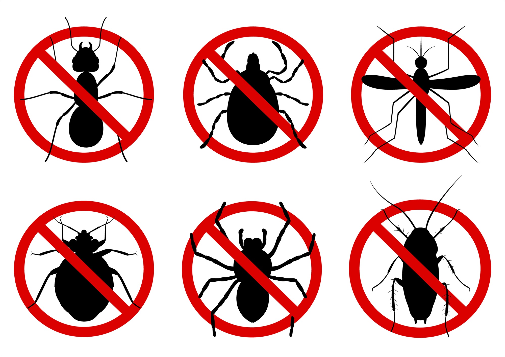 Pest Control Fort Worth TX Pest Control Fort Worth TX