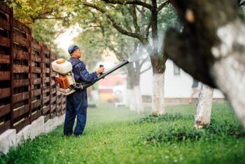 Pest Control Dallas TX