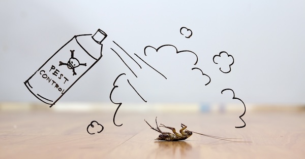 Pest Control Fort Worth TX