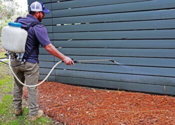 Pest Control Near Me Dallas TX