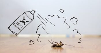 Pest Control North Richland Hills TX