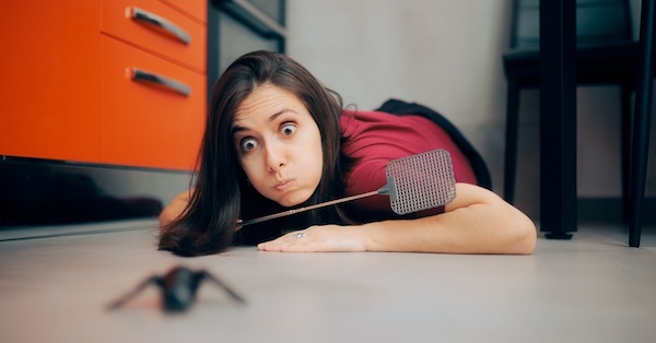 Spider Pest Control Dallas TX