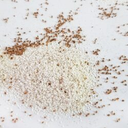 Ant Control Southlake TX