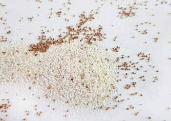 Ant Control Southlake TX