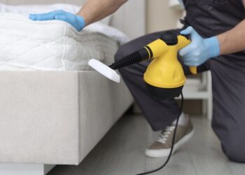 Bed Bug Prevention Tips For Travel And Hotels TX