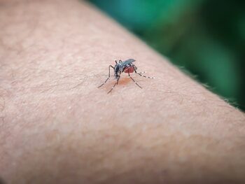 Mosquito Control Southlake TX