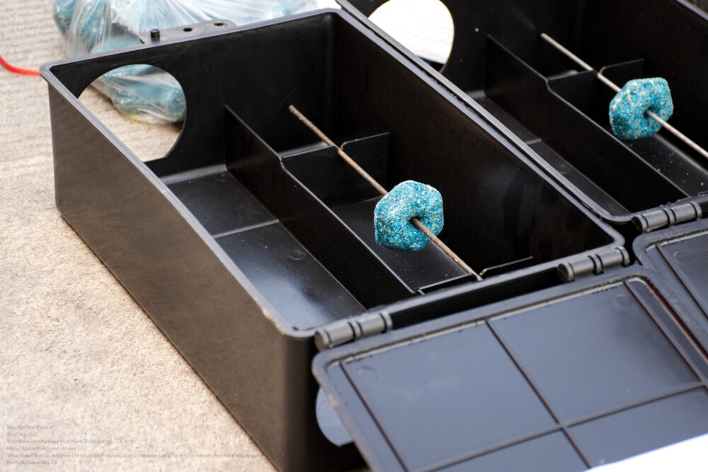 Pest Control near me Southlake TX