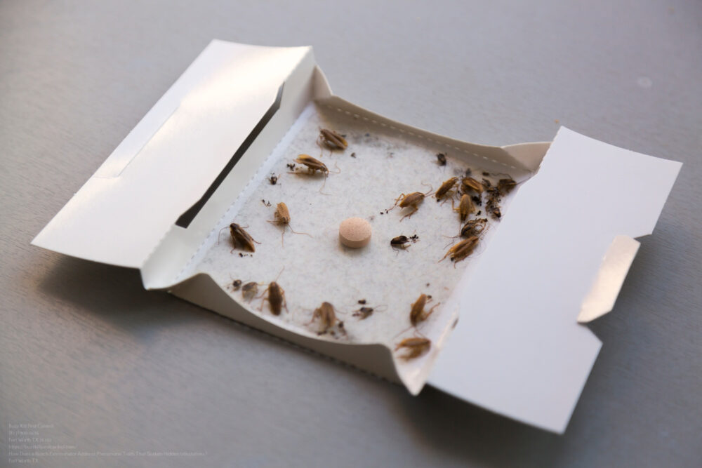 Roach Exterminator near me Fort Worth TX