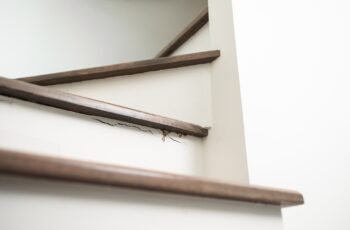 Termite Control Dallas TX